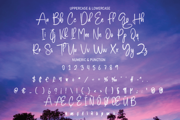 Night Beauty Font Poster 7