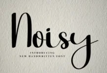Noisy Font