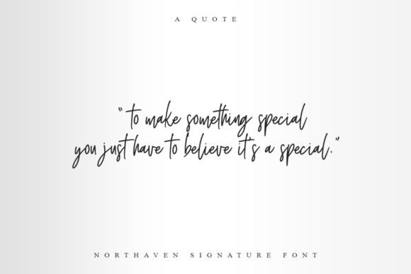 Northaven Signature Font Poster 10