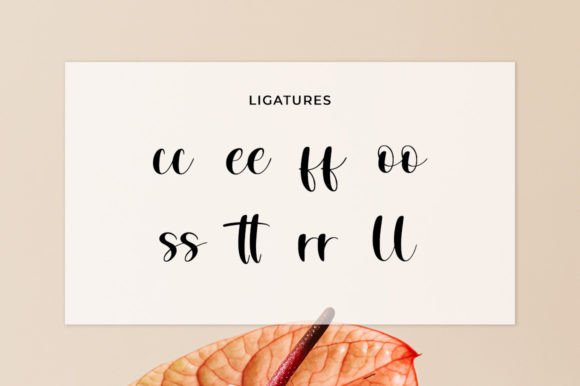 Novyana Font Poster 11