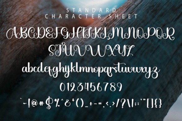 Organic Font Poster 6