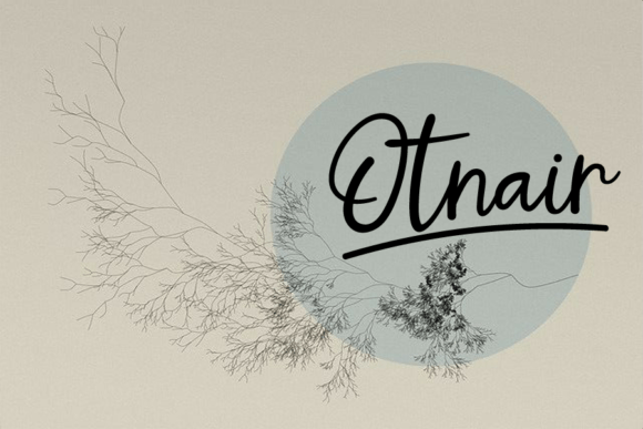 Otnair Font Poster 1