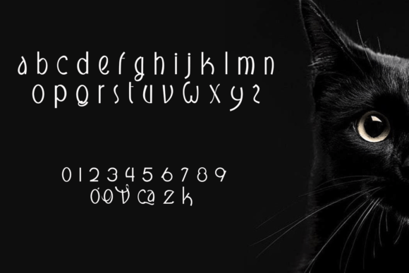 Overscats Font Poster 2