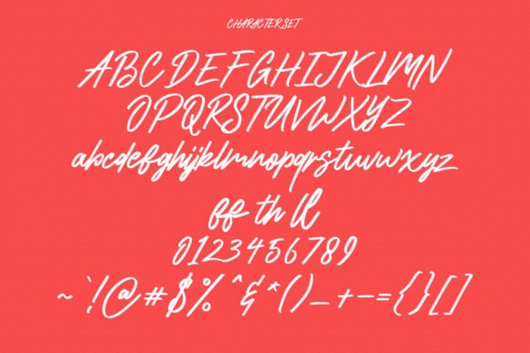 Overshoot Font Poster 8