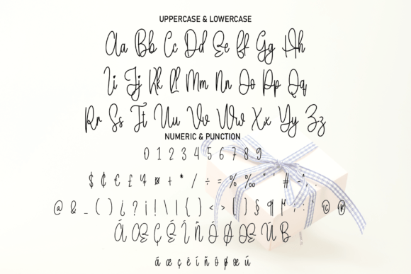 Package Font Poster 7