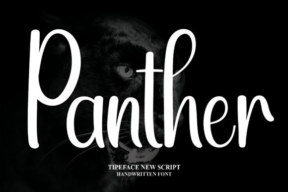 Panther Font Poster 1