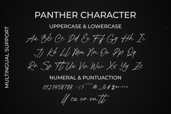 Panther Font Poster 5