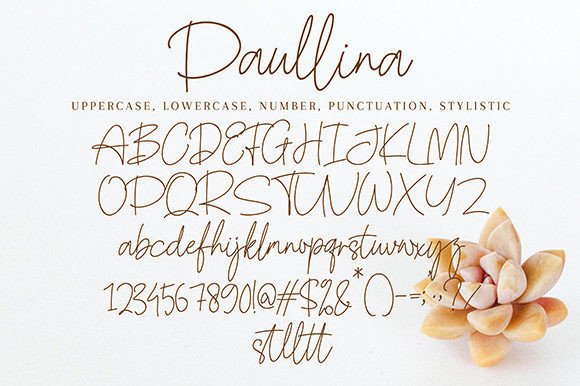 Paullina Font Poster 9