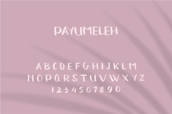 Payumeleh Font Poster 2