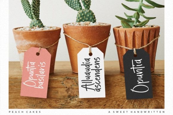 Peach Cakes Font Poster 3