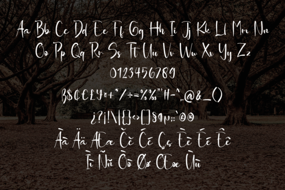 Photography Font Poster 11