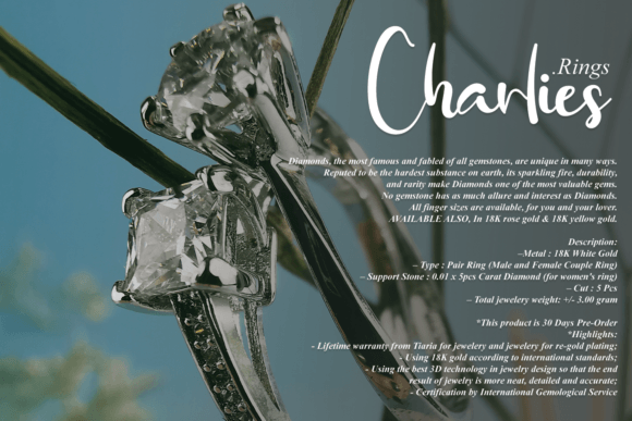 Photography Font Poster 6