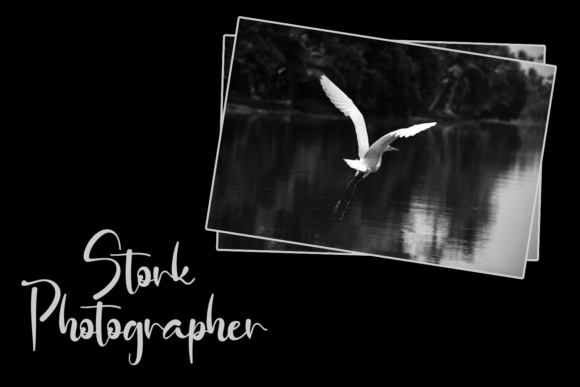 Photography Font Poster 9