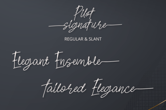 Pilot Signature Font Poster 9