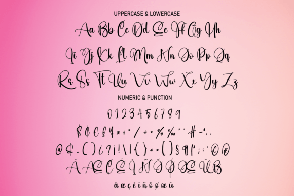 Pink Font Poster 7