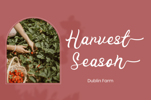 Pink Farmhouse Font Poster 2