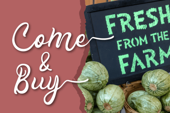 Pink Farmhouse Font Poster 5