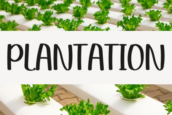 Plantation Font