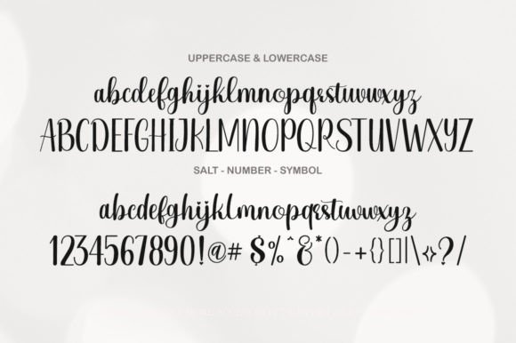 Plum Pudding Font Poster 5