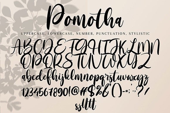 Pomotha Font Poster 9