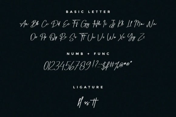 Pricillia Font Poster 11