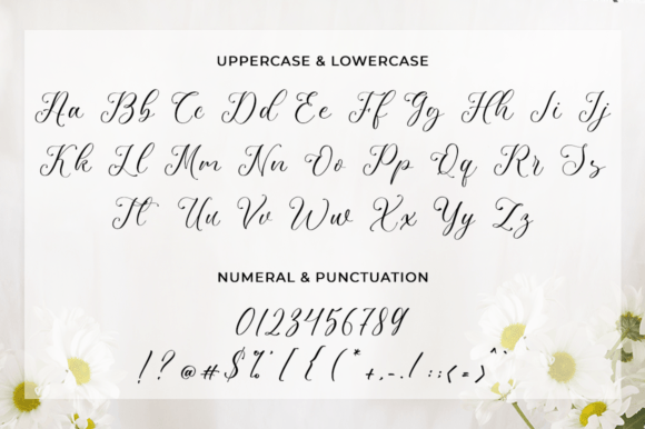 Pulcinela Font Poster 9