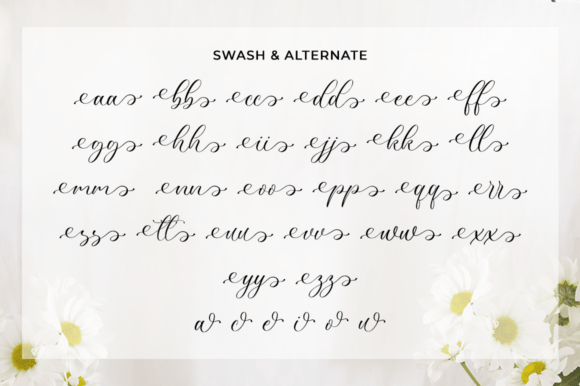 Pulcinela Font Poster 10