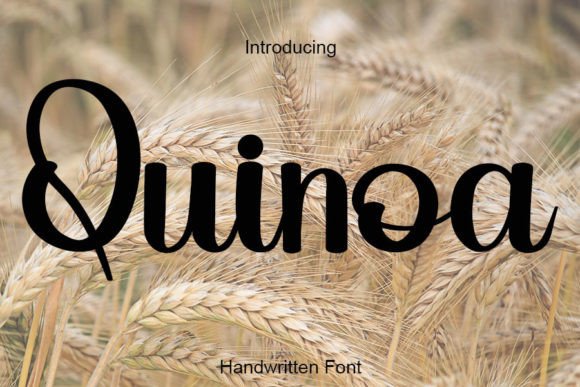 Quinoa Font Poster 1