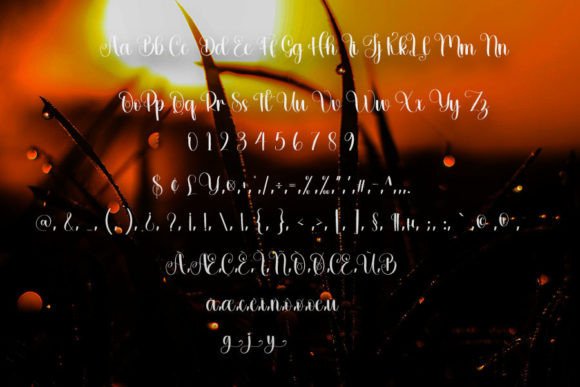 Rainy Font Poster 4