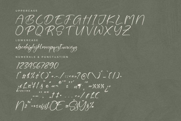Ralkinsoon Font Poster 12