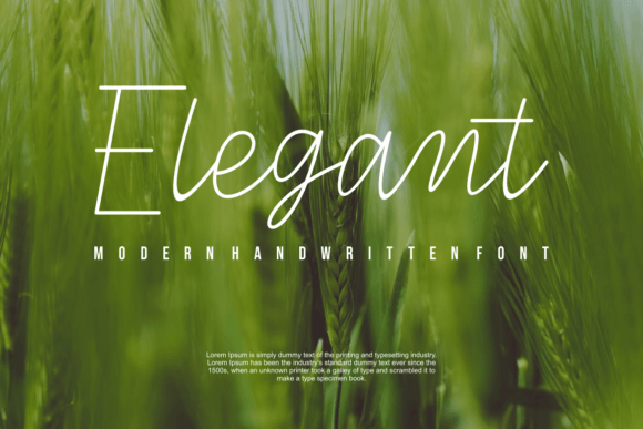 Rarlando Font Poster 3