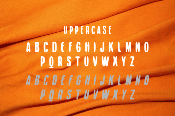 Rasha Font Poster 8