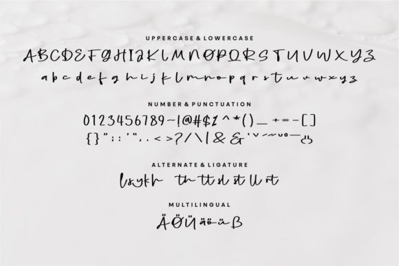 Rasley Font Poster 6