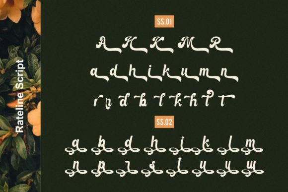 Rateline Font Poster 11