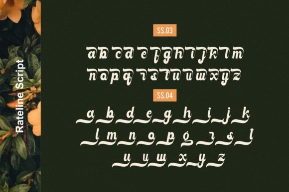 Rateline Font Poster 12