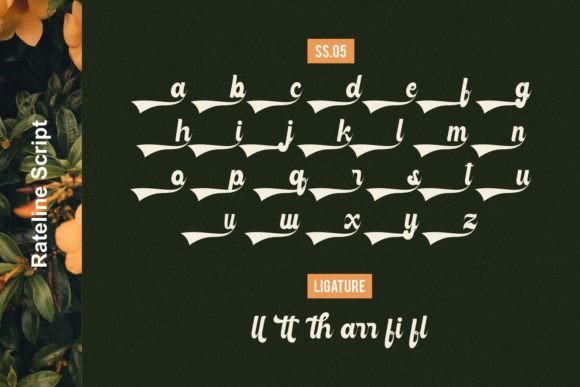 Rateline Font Poster 13