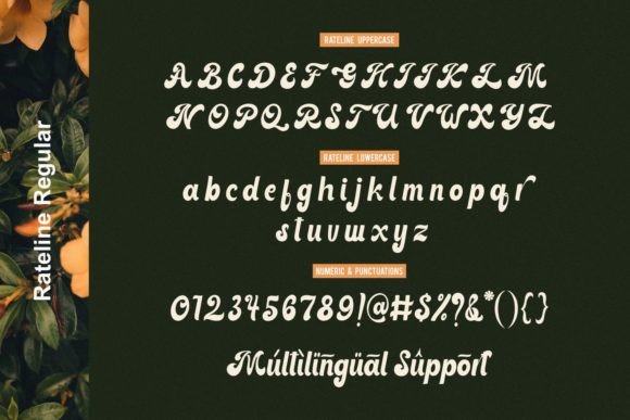 Rateline Font Poster 14