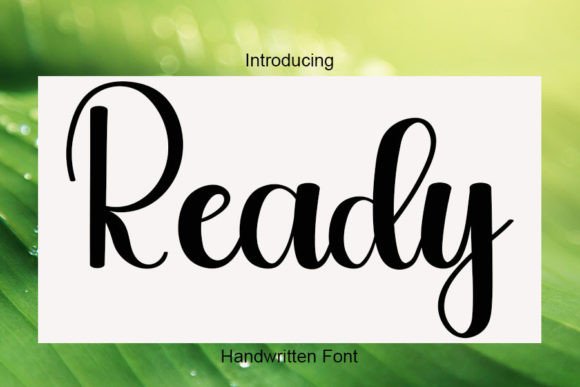 Ready Font