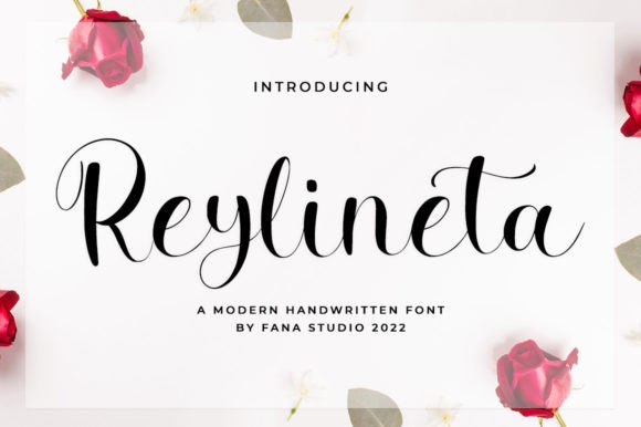 Reylineta Font Poster 1