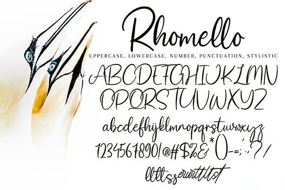 Rhomello Font Poster 9