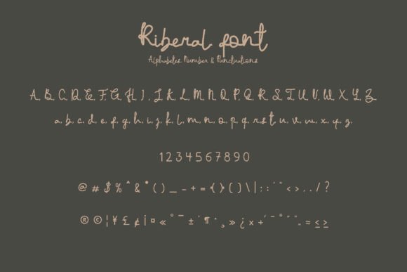 Riberal Font Poster 2