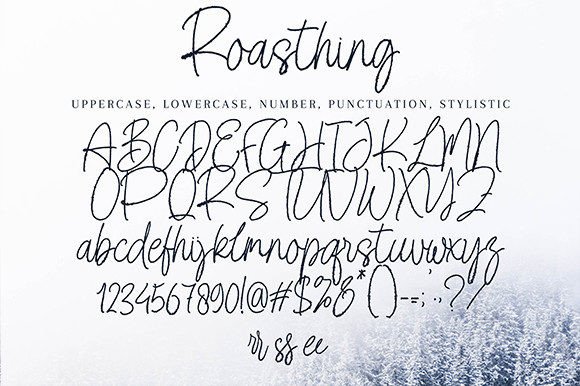 Roasthing Font Poster 7