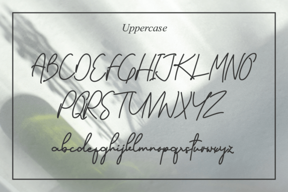 Romance Font Poster 7