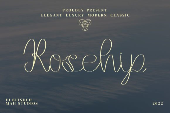 Rosehip Font Poster 1