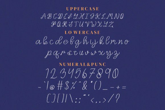 Rosehip Font Poster 11