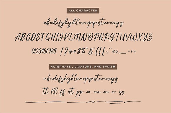 Sally Alone Font Poster 8