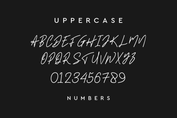 Samara Lia Font Poster 3