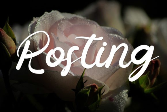 Sampling Font Poster 2