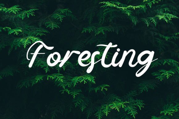 Sampling Font Poster 4
