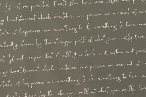 Sandora Font Poster 9